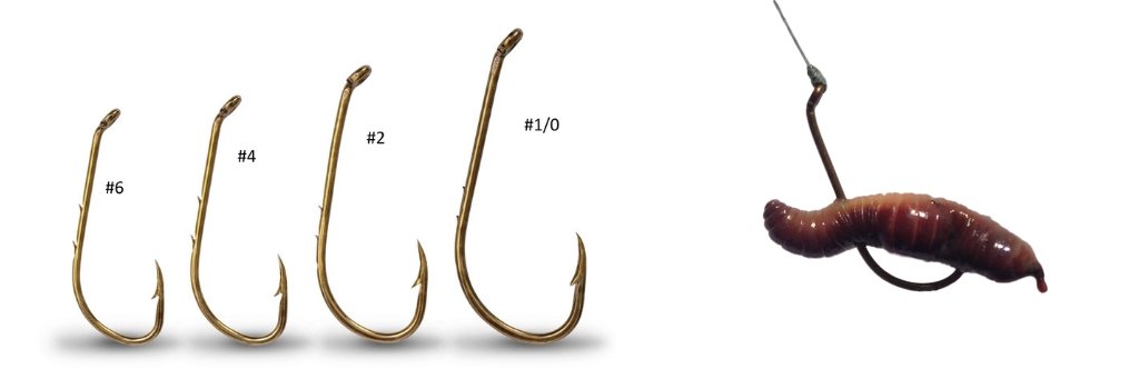 Fishing Hook Sizes - How to Choose the Right Fishing Hook