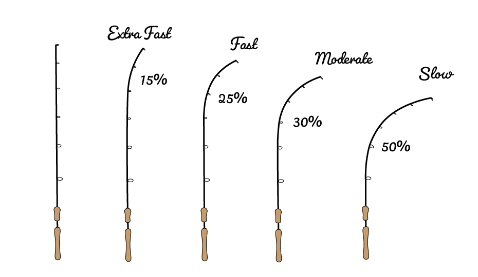 What Is Fishing Rod Action? FishHuntGear