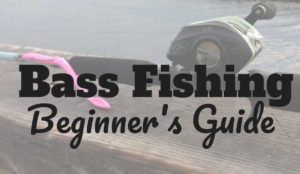 Largemouth Bass Fishing for Beginners (The Ultimate Guide) - FYAO Saltwater  Media Group, Inc.