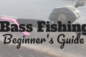 How to Fish for Bass Beginner Bass Fishing Tailored Tackle