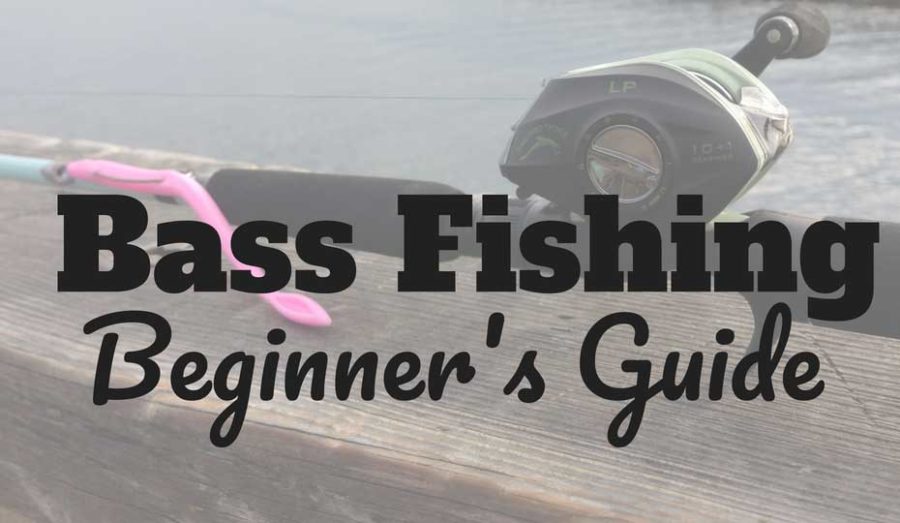 How to Fish for Bass Beginner Bass Fishing Tailored Tackle