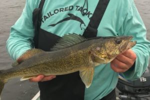 tailored tackle walleye fishing kit catch