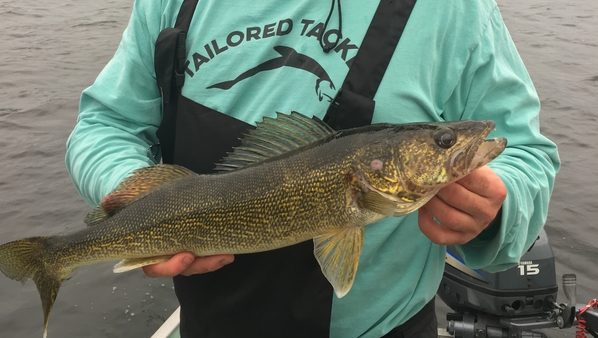 tailored tackle walleye fishing kit catch