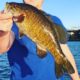 Smallmouth Bass Lake Washington with Bass Fishing Kit