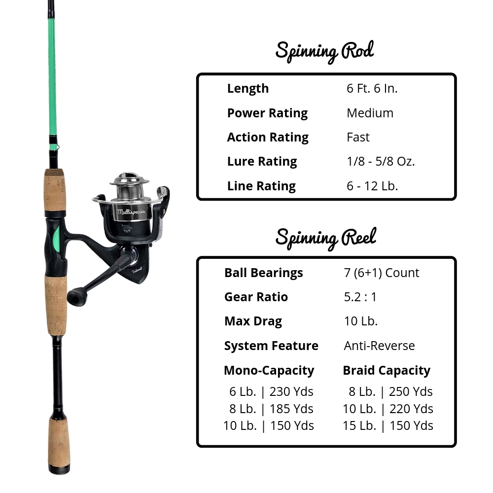Beginners Multispecies Spinning Rod and Reel Combo | Tailored Tackle