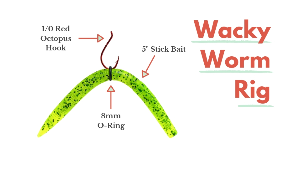 How to Fish a Wacky Worm  