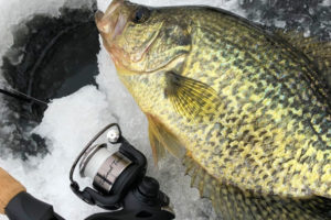 Ice Fishing for Crappie 3 Key Tips for Crappie Slabs
