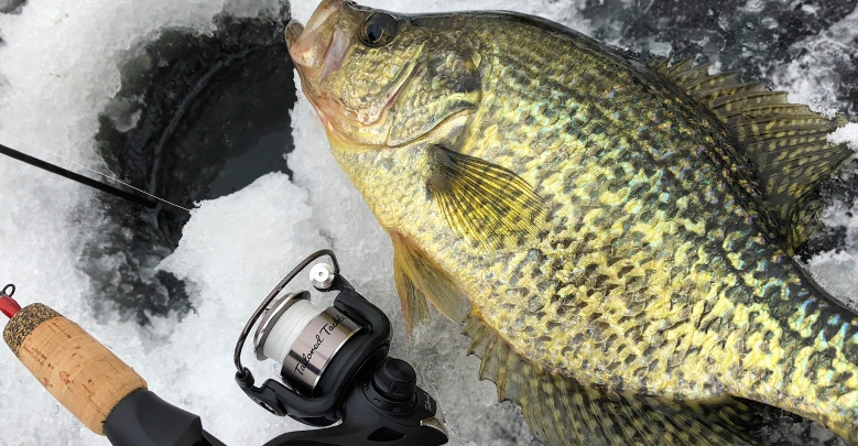 Ice Fishing for Crappie 3 Key Tips for Crappie Slabs