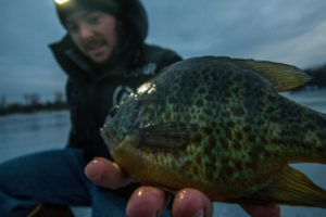 Ice Fishing for Bluegill How to Catch Panfish Through the Ice