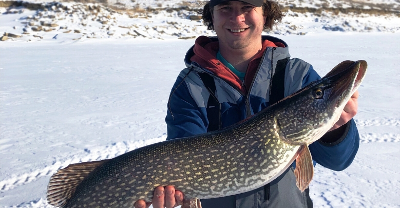 Ice Fishing or Pike How to Target Northern Pike Through the Ice