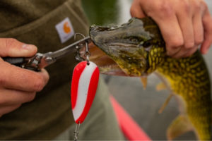 How to Set a Hook and Start Catching more Fish Tailored Tackle