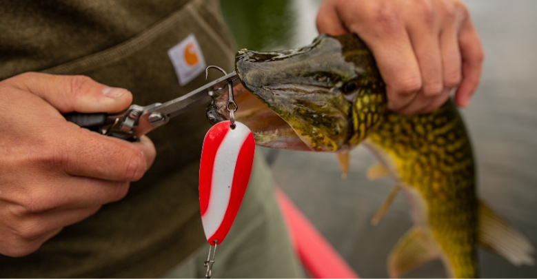 How to Set a Hook and Start Catching More Fish - Tailored Tackle