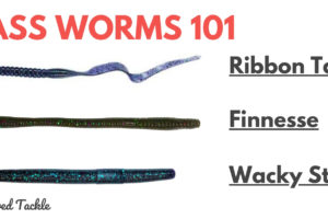 Bass Worms Plastic Worms Fishing 101 Tailored Tackle