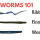 Bass Worms 101: Plastic Worms for Bass Fishing