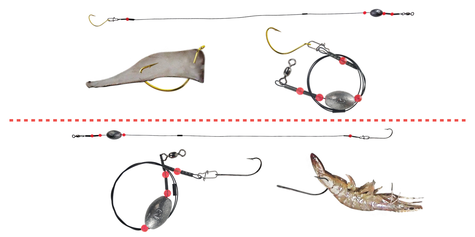 Ready Rig Saltwater Squid Shrimp Tailored Tackle 1