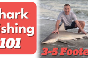 Shark Fishing the Surf Tailored Tackle