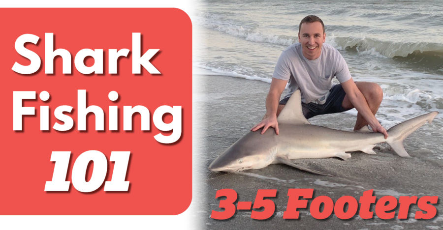 Shark Fishing the Surf Tailored Tackle