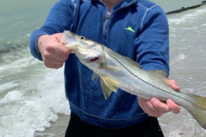 Snook Fishing in the Surf for Beginners Tailored Tackle