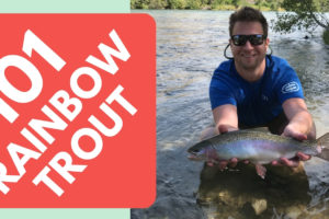 Rainbow Trout Fishing a Beginners Guide on Spinning Gear Tailored Tackle