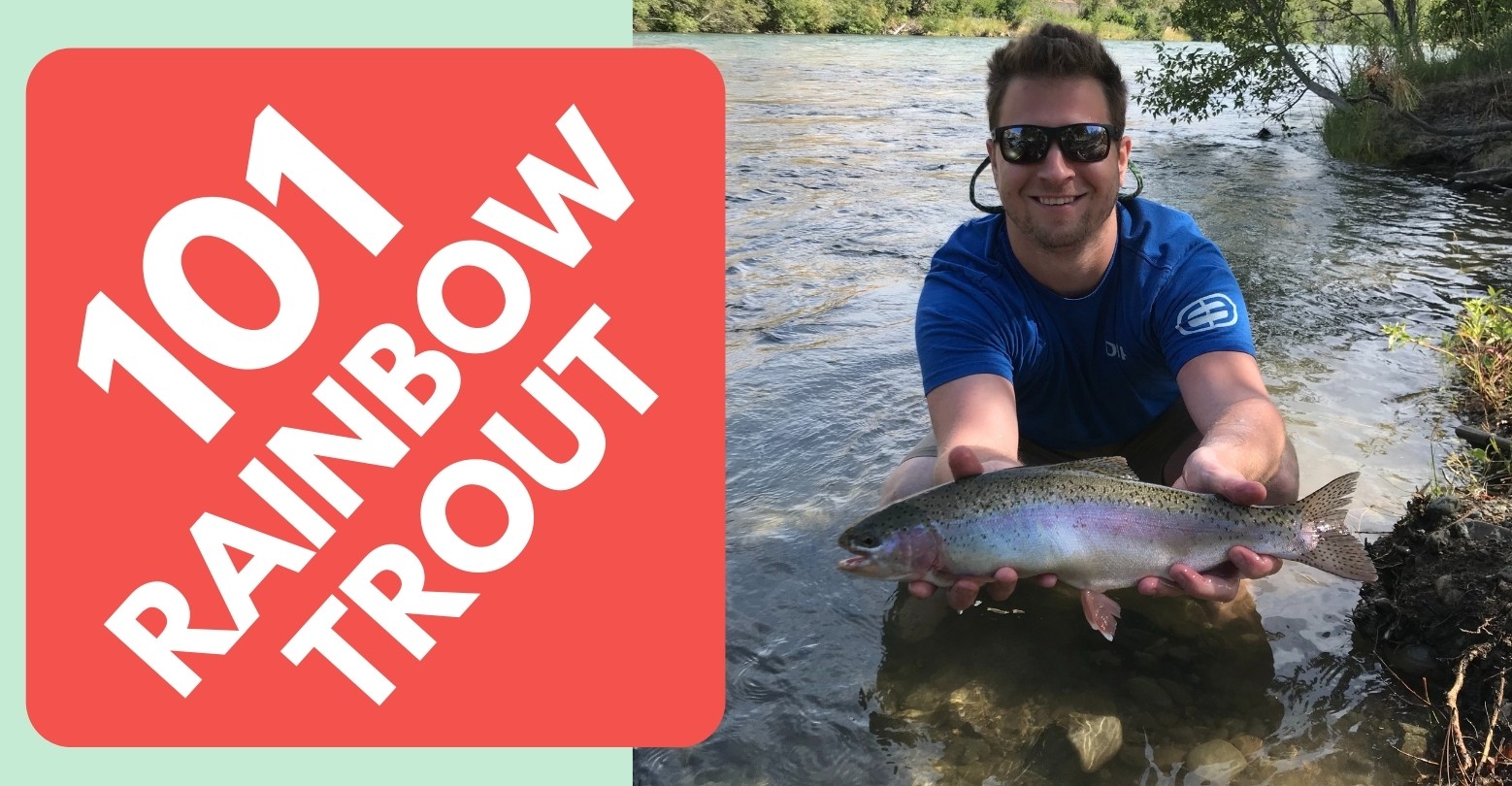 How to Keep Trout COOL When Using a Creel 