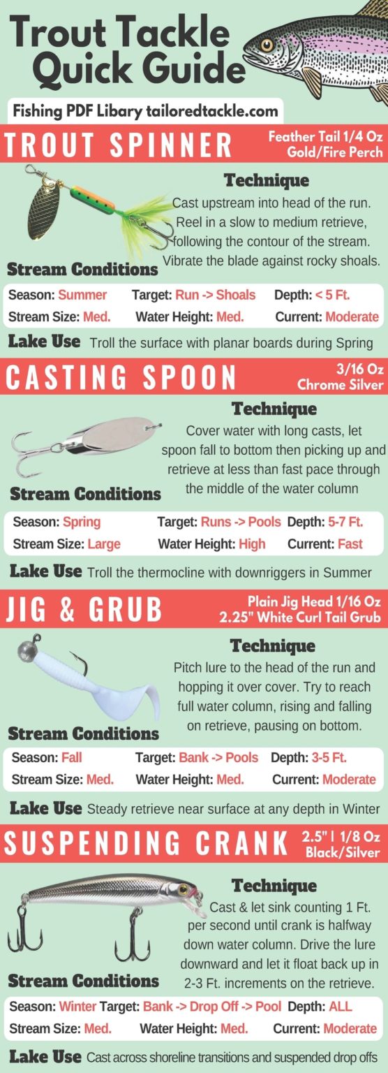 Rainbow Trout Fishing: A Beginner’s Guide on Spinning Gear