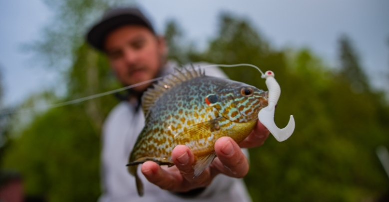 The-Best-Time-To-Fish-For-Bluegill-freshwater-fishing-tailored-tackle-4